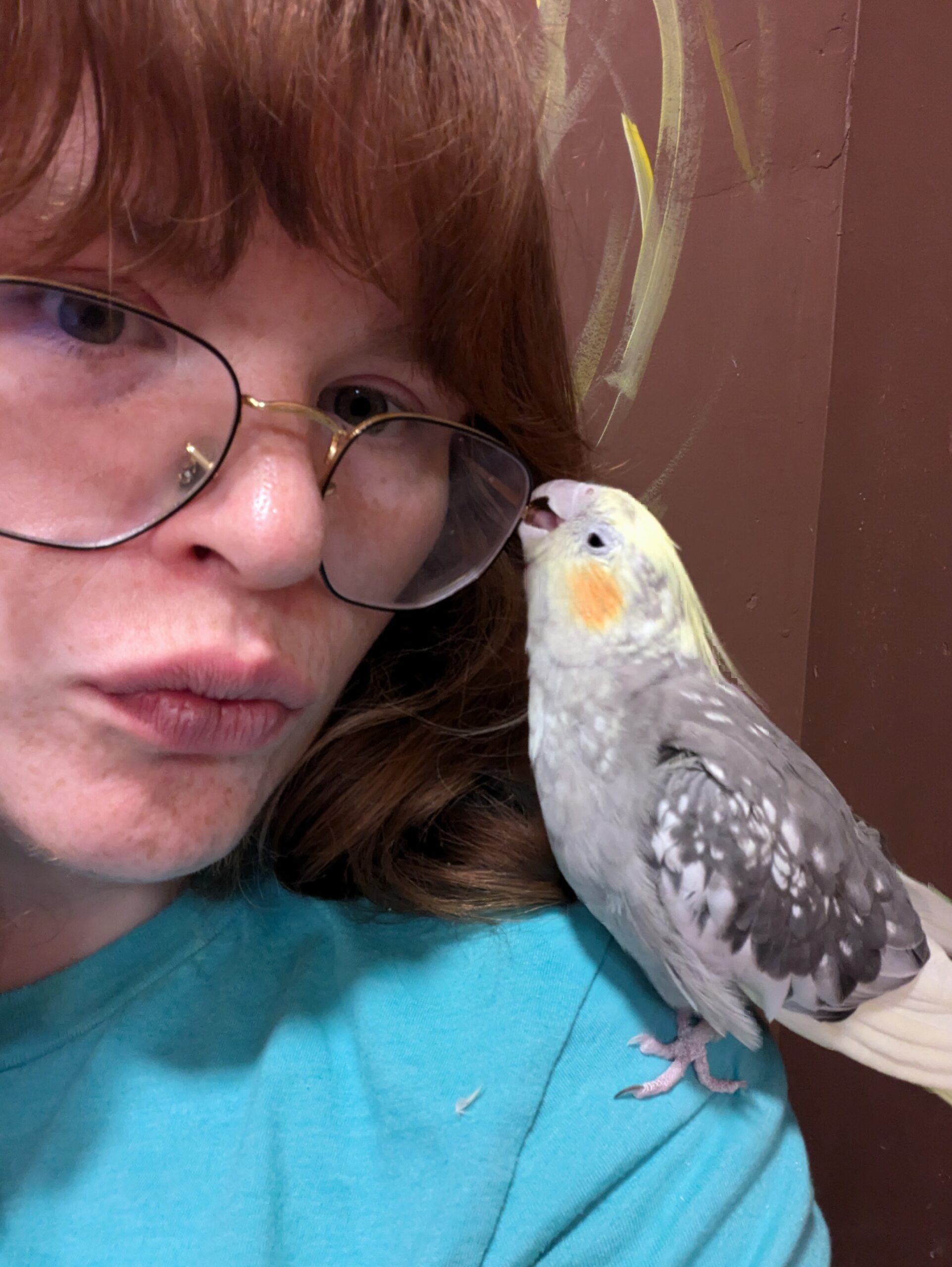 bird