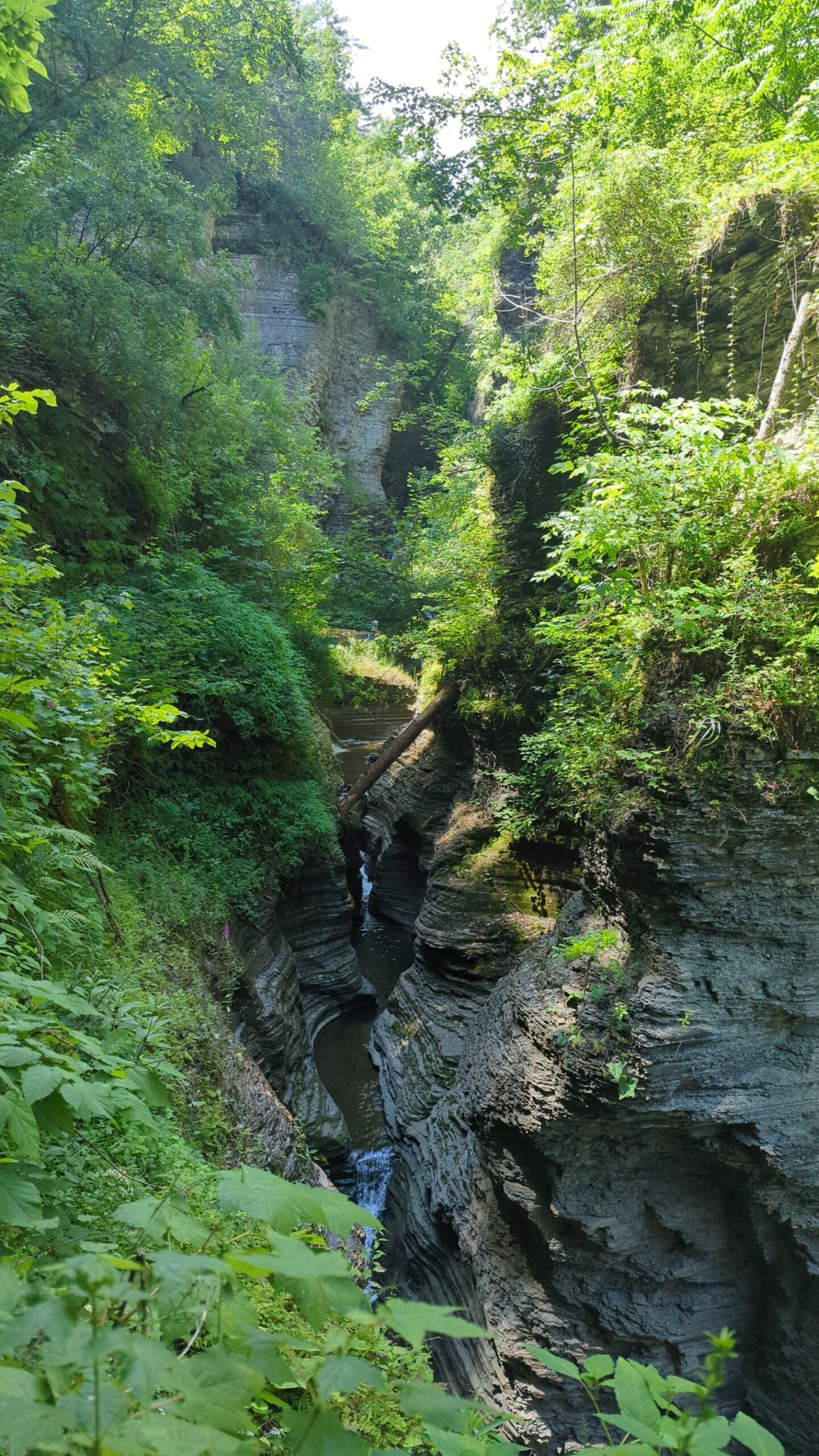 Trail